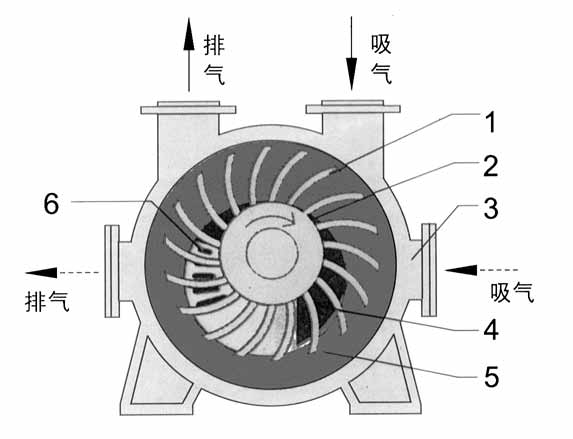 2BE1水环式江南（中国）结构图
